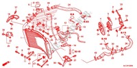 RADIATOR for Honda CBR 600 RR HRC TRICOLORE 2015
