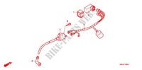 WIRE HARNESS/BATTERY for Honda CRF 50 2004