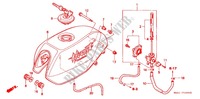FUEL TANK (CB250FT/V/X) for Honda CB 250 HORNET SPEED WARNING LIMIT 1999