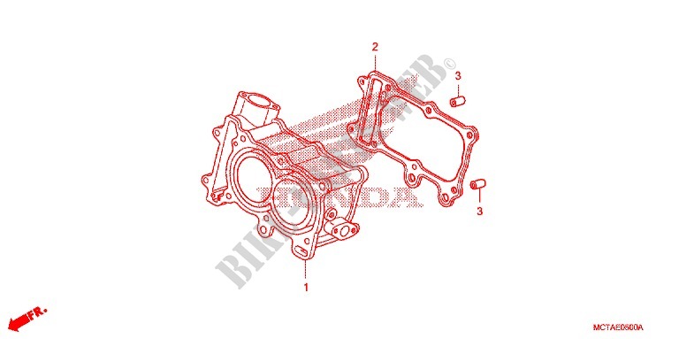 CYLINDER for Honda SILVER WING 600 2009