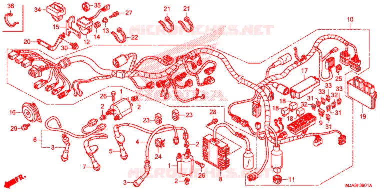 WIRE HARNESS (VT750CS) Honda MOTO 750 SHADOW 2015  VT750CSF