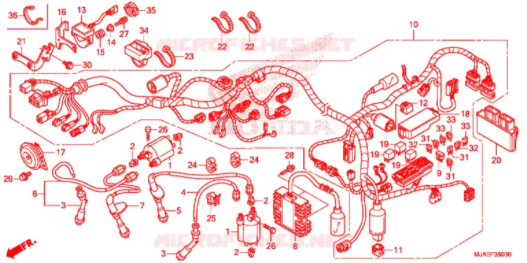 WIRE HARNESS (VT750CS/C2S) Honda MOTO 750 SHADOW 2016  VT750CSG