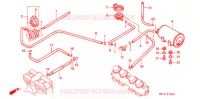 EVAP CANISTER for Honda CB 1000 BIG ONE 1994