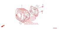 CYLINDER for Honda CRF 110 2013