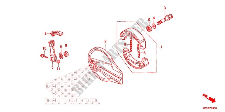 REAR BRAKE PANEL   SHOES for Honda CRF 230 F 2015