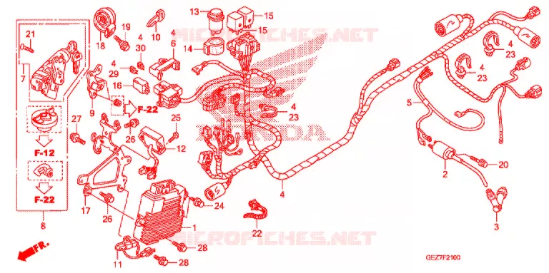 WIRE HARNESS/BATTERY Honda SCOOTER 50 RUCKUS 2008  NPS50S8_A
