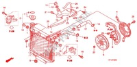 RADIATOR for Honda TRX 450 R SPORTRAX Electric Start WHITE 2012