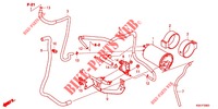 AIR INJECTION SYSTEM for Honda CB 250 R ABS 2021